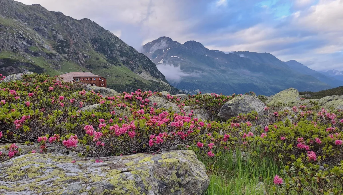 © Christa Hornreich