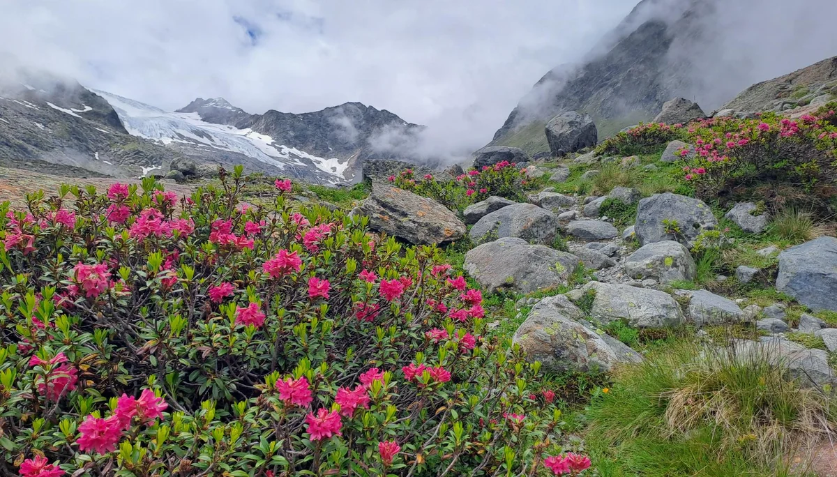 © Christa Hornreich