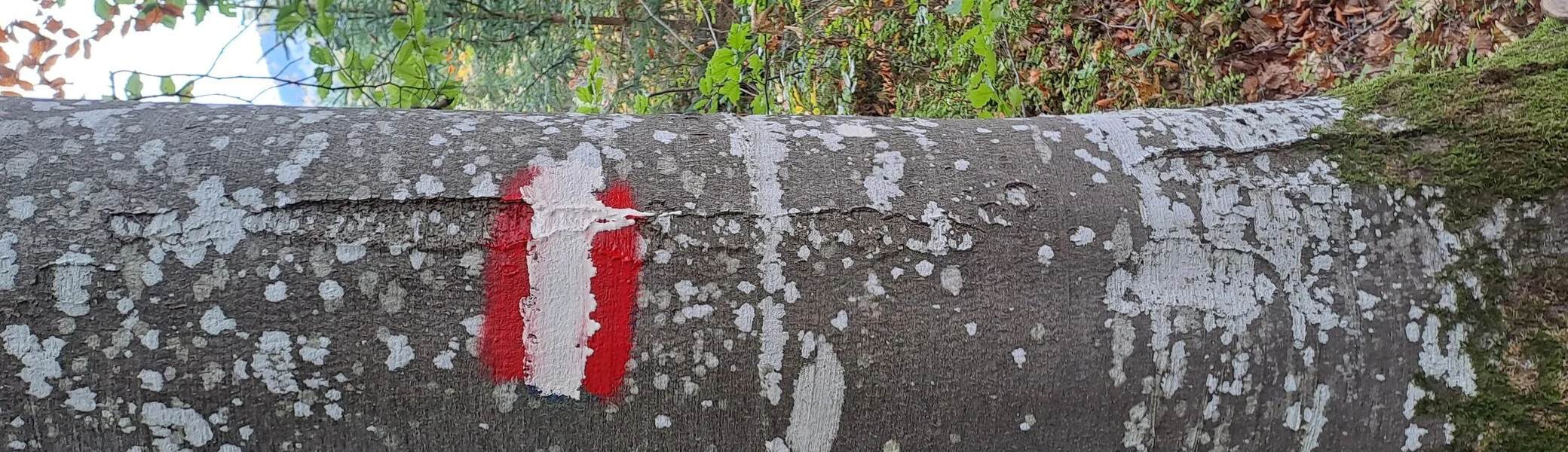 © Christa Hornreich