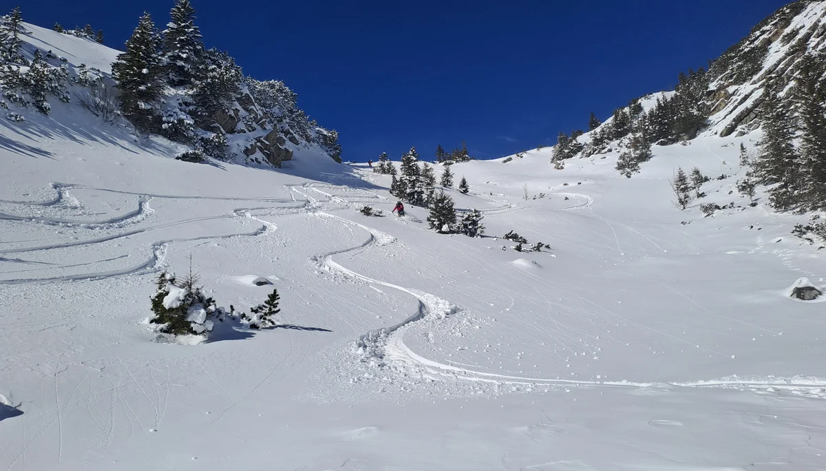 © Christa Hornreich