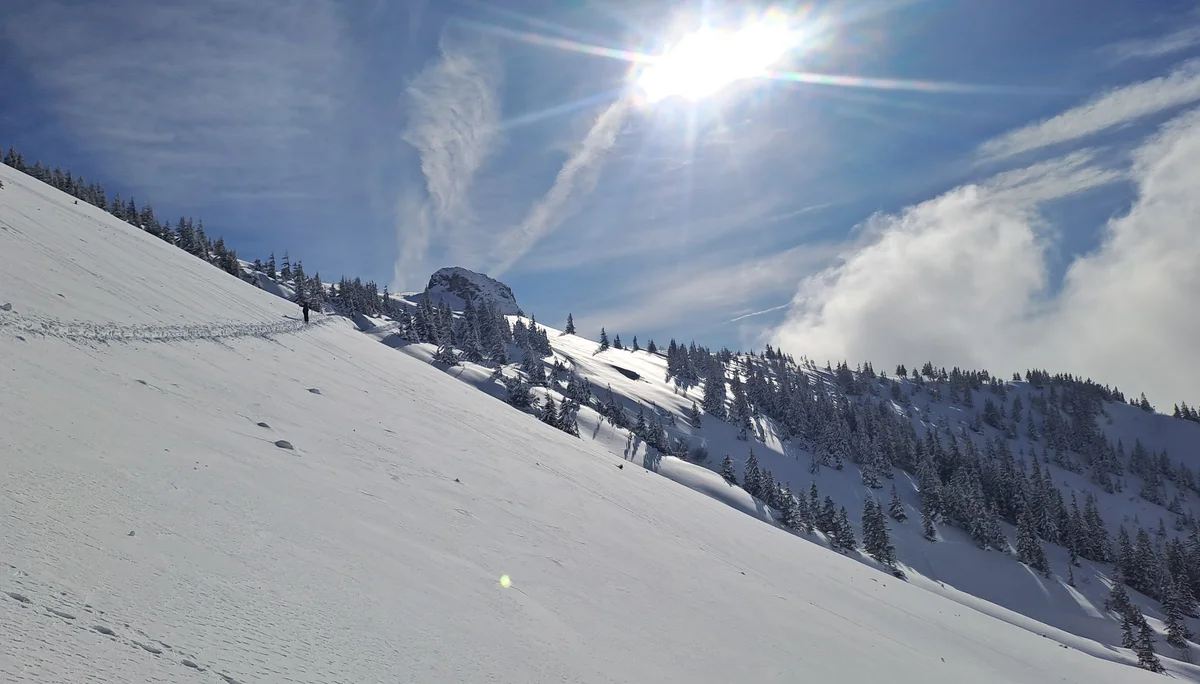 © Christa Hornreich