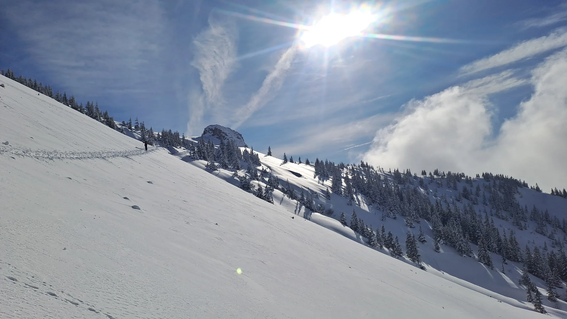 © Christa Hornreich