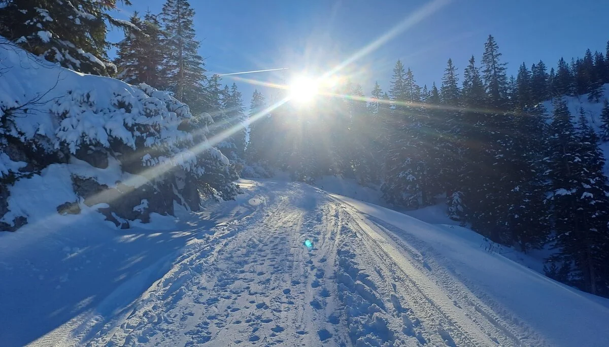 © Christa Hornreich