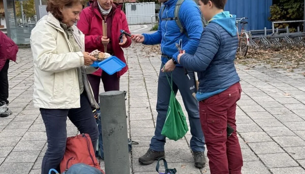 © Christa Hornreich