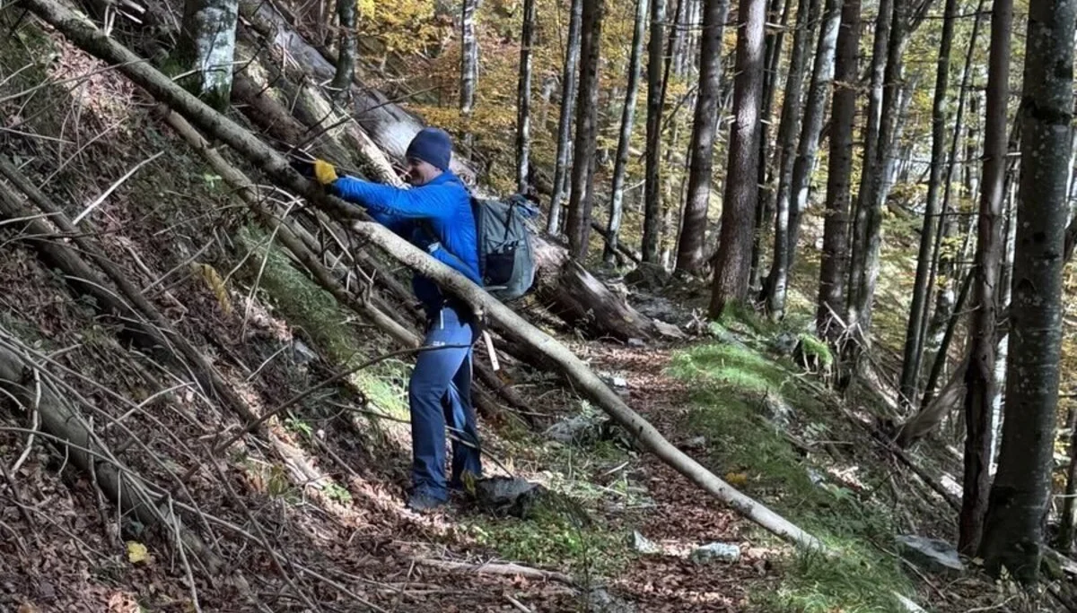 © Christa Hornreich