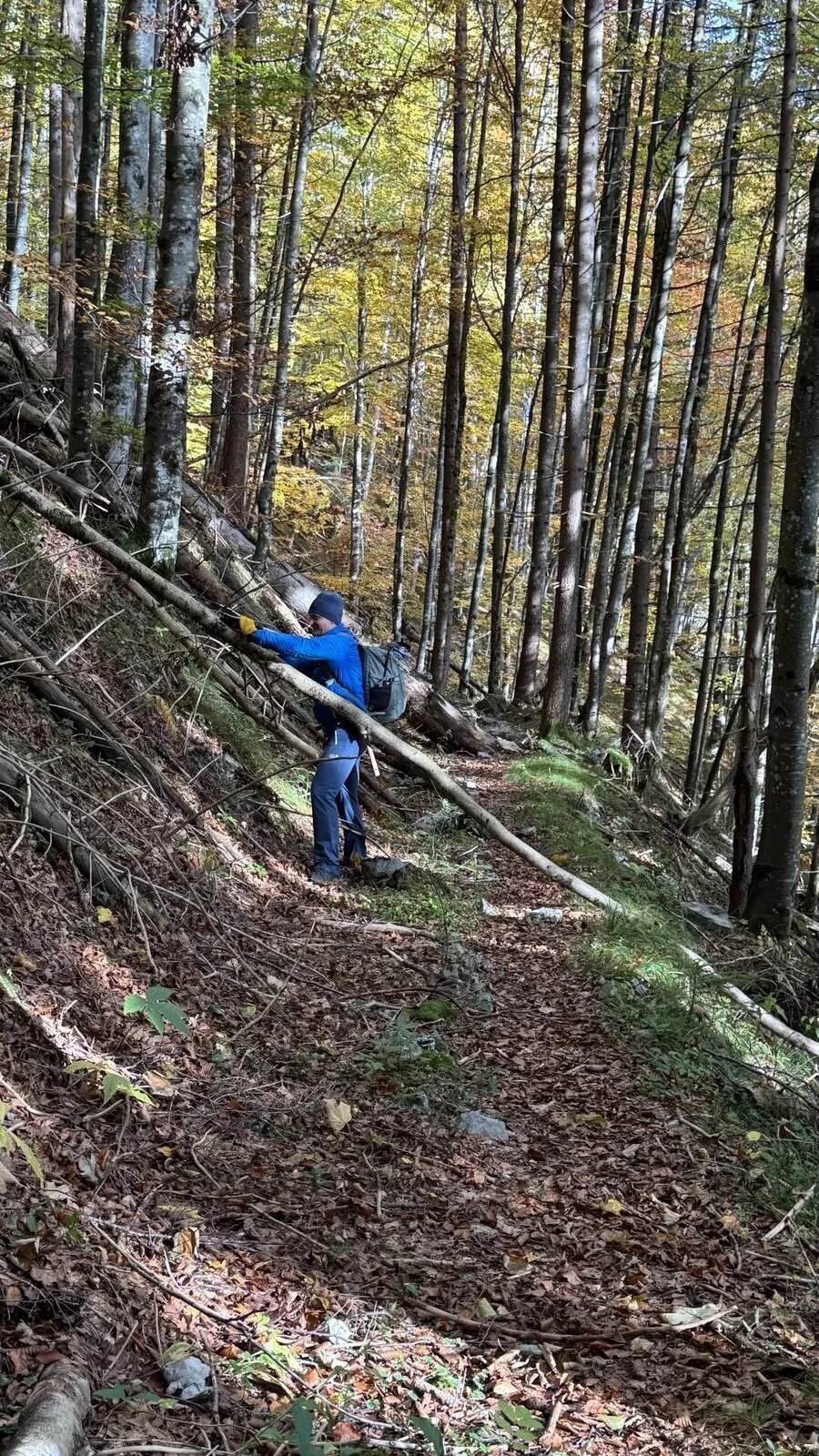 © Christa Hornreich