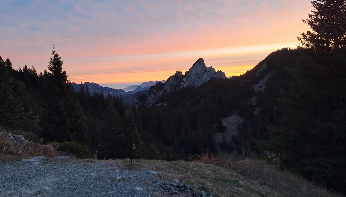 © Christa Hornreich