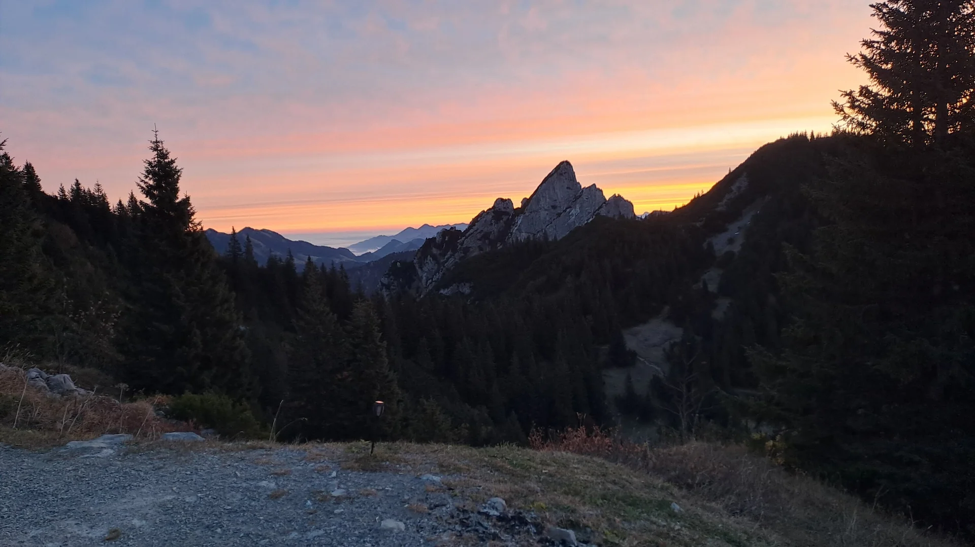 © Christa Hornreich