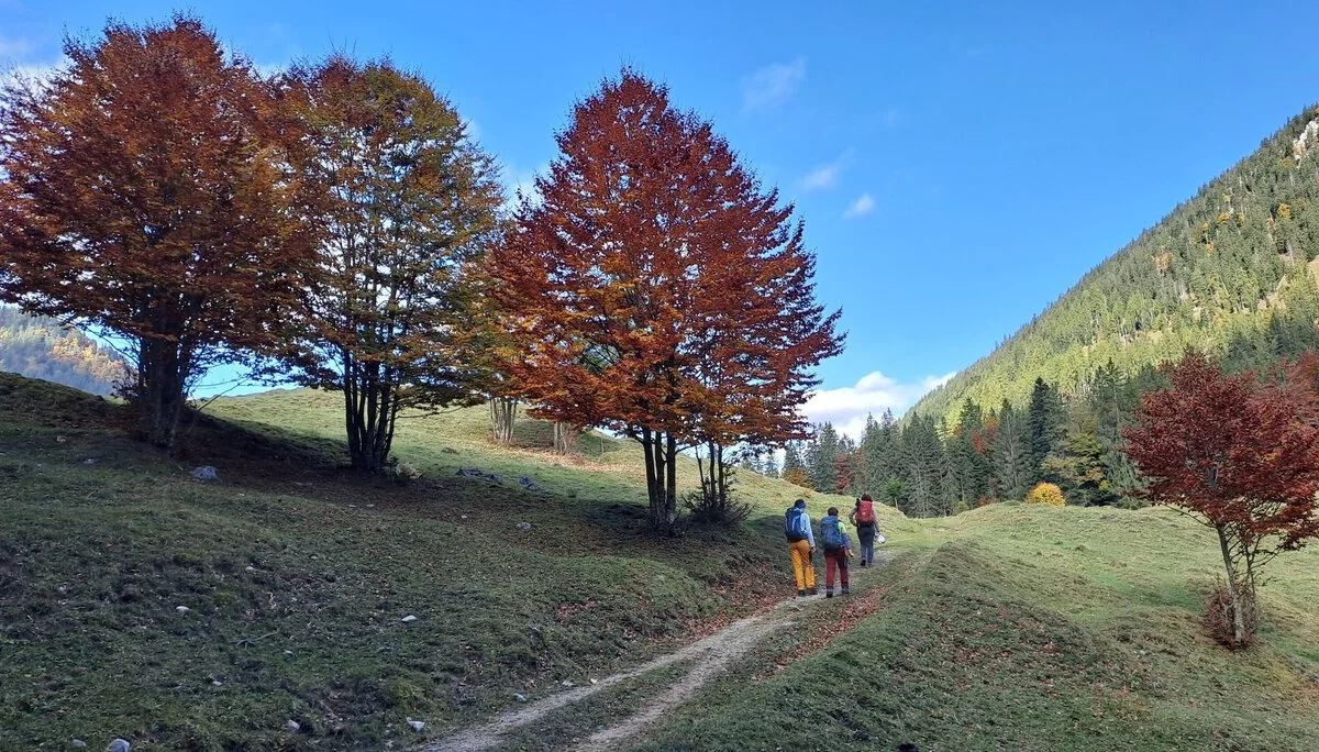 © Christa Hornreich