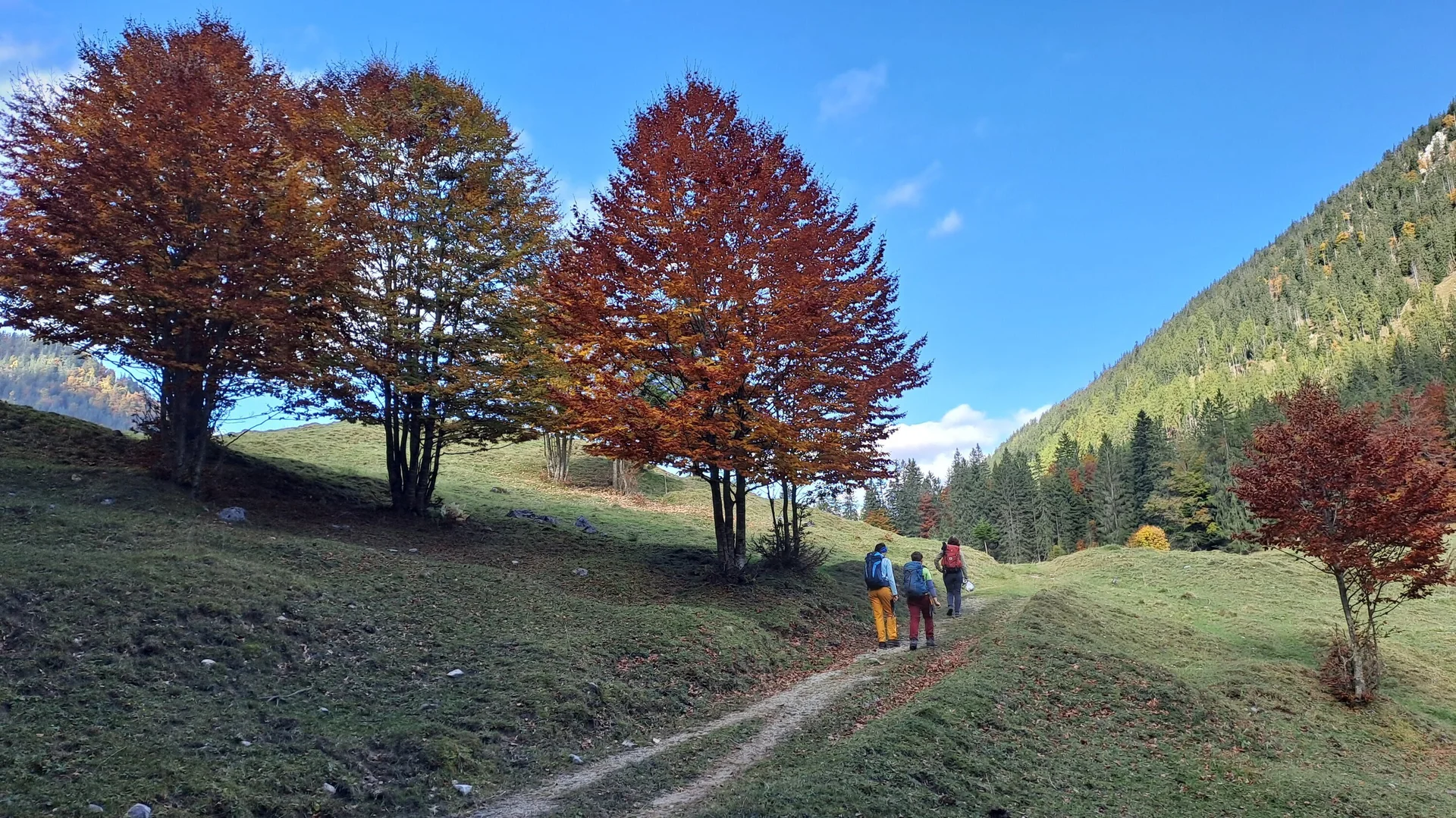 © Christa Hornreich