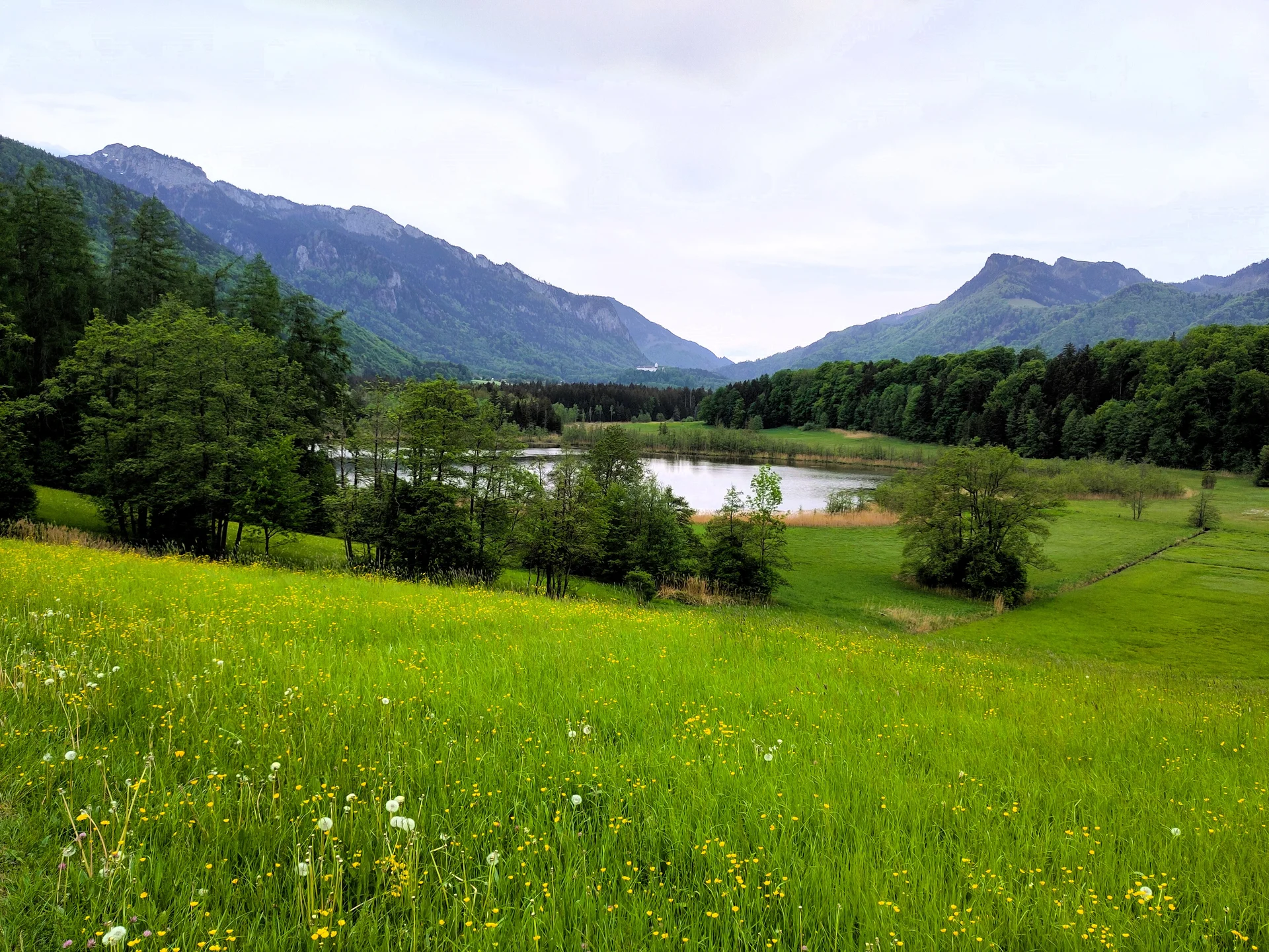 © Dr. Klaus Landendinger