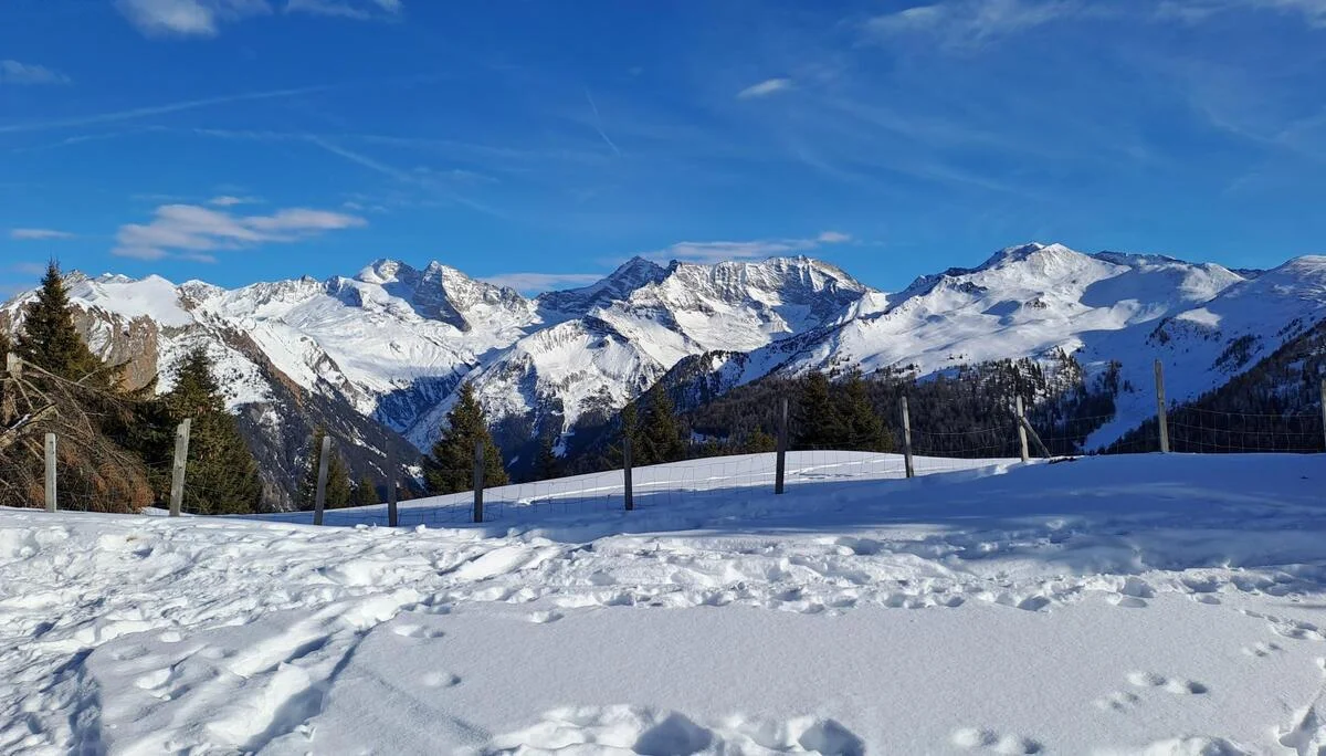 © Christa Hornreich