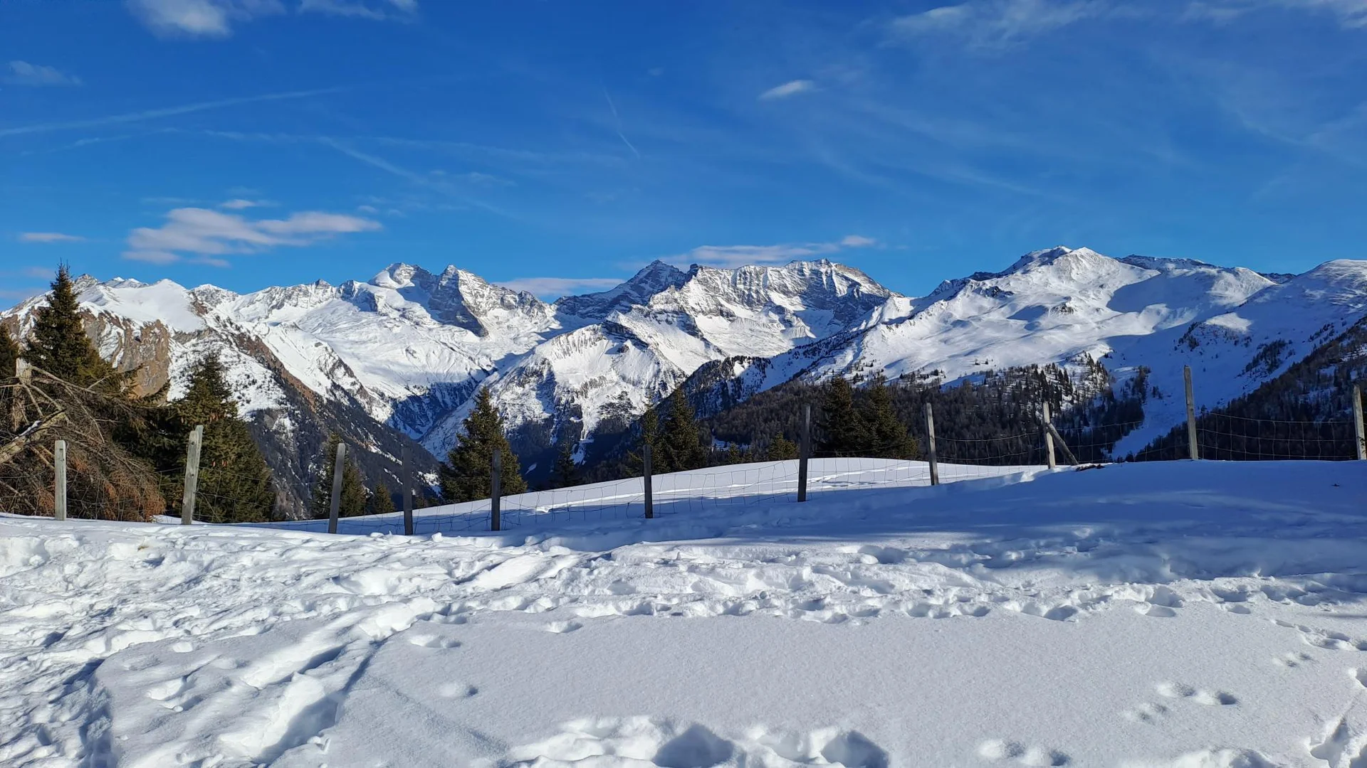 © Christa Hornreich