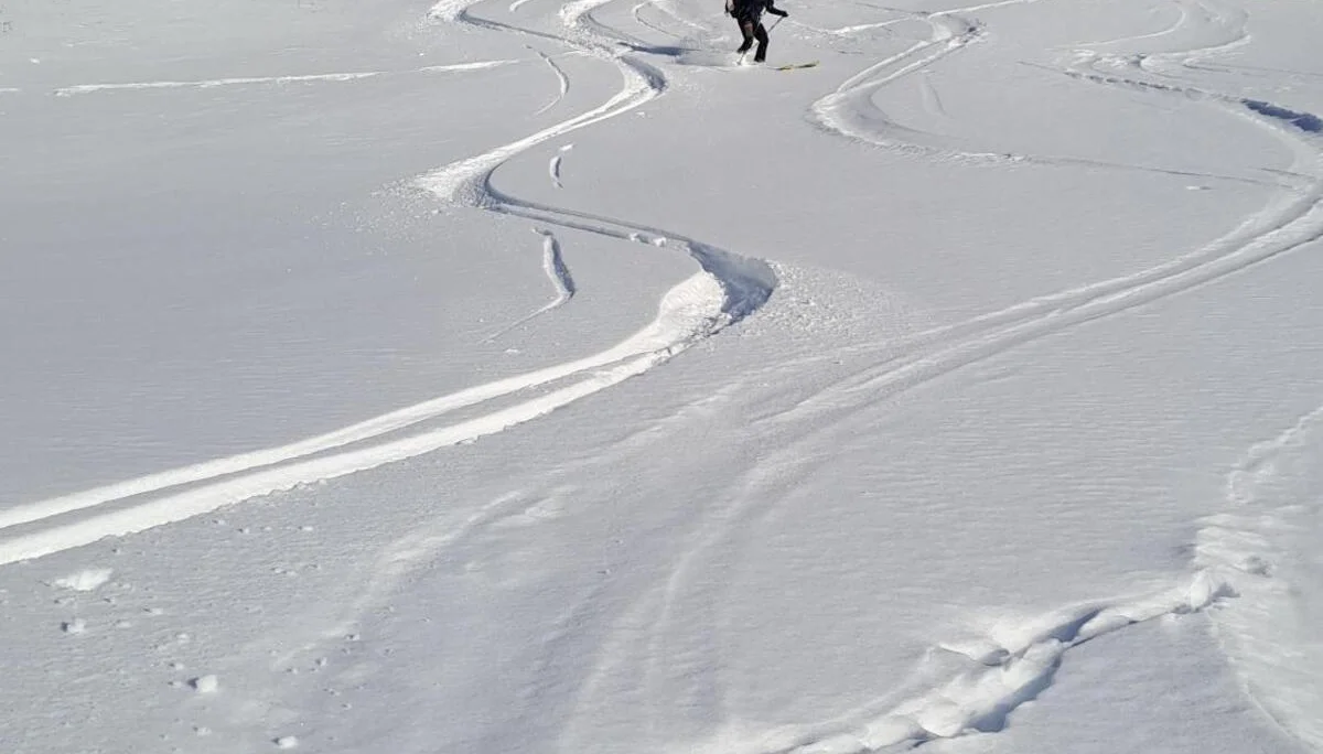 © Christa Hornreich