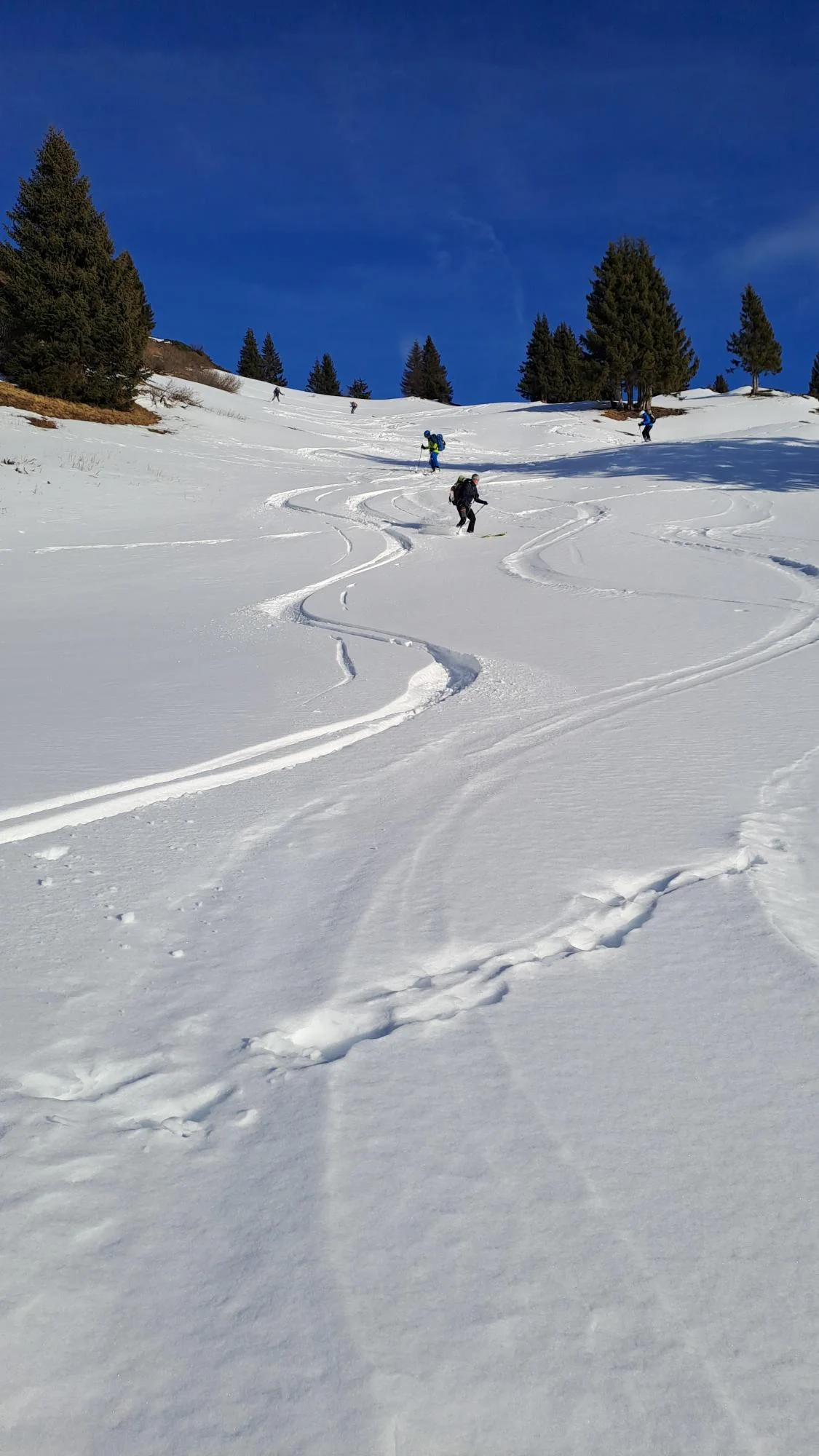 © Christa Hornreich