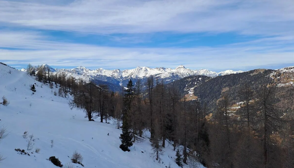 © Christa Hornreich