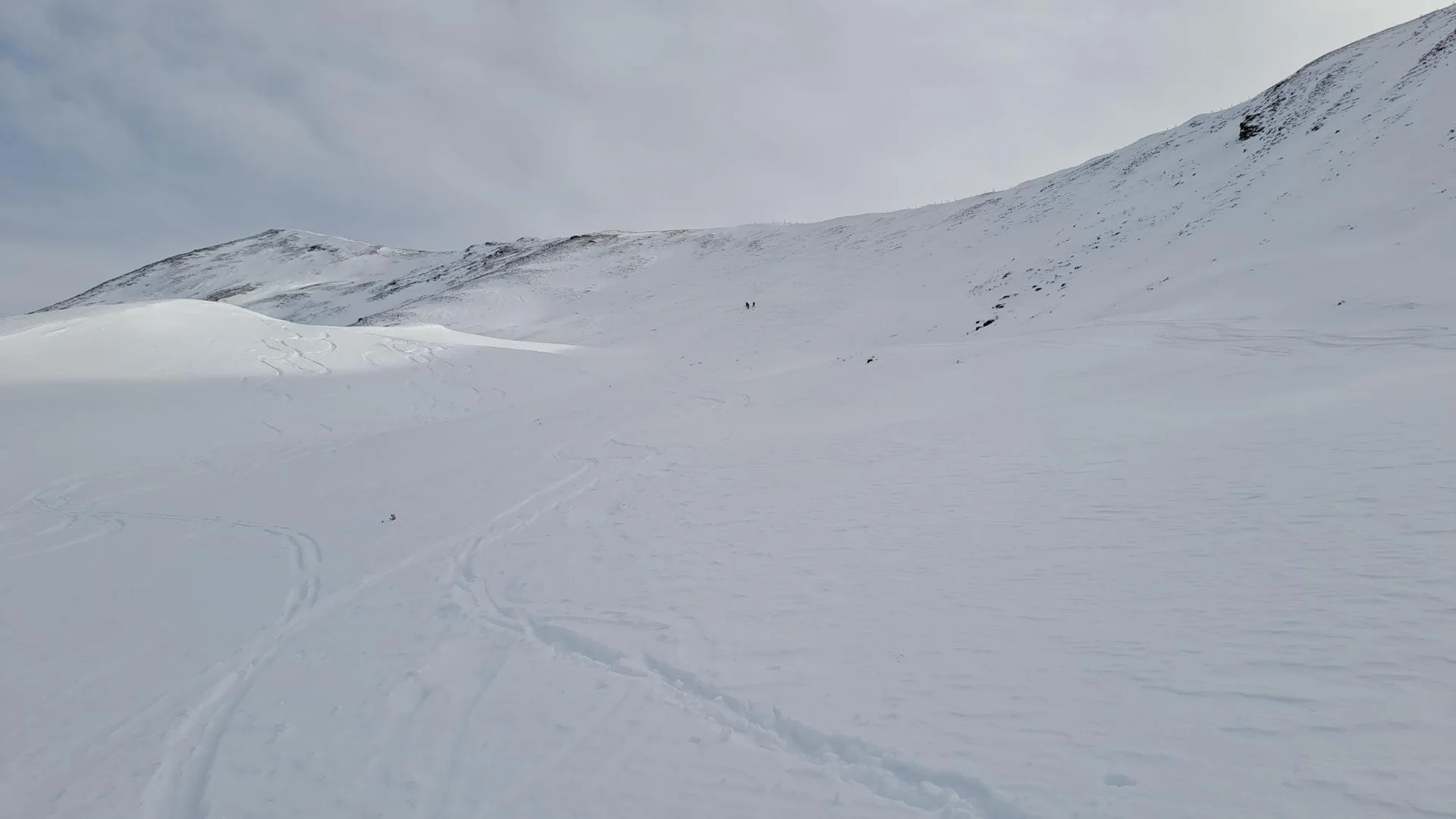 © Christa Hornreich