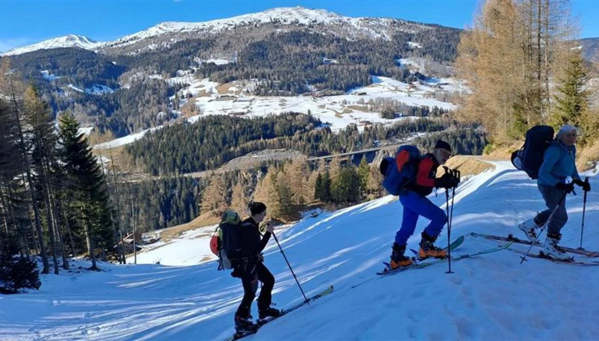 © Christa Hornreich