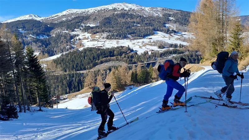 © Christa Hornreich