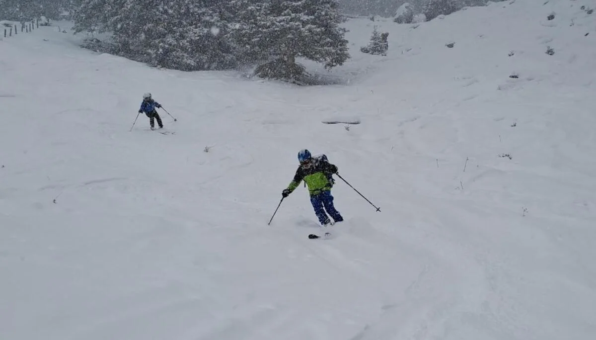 © Christa Hornreich