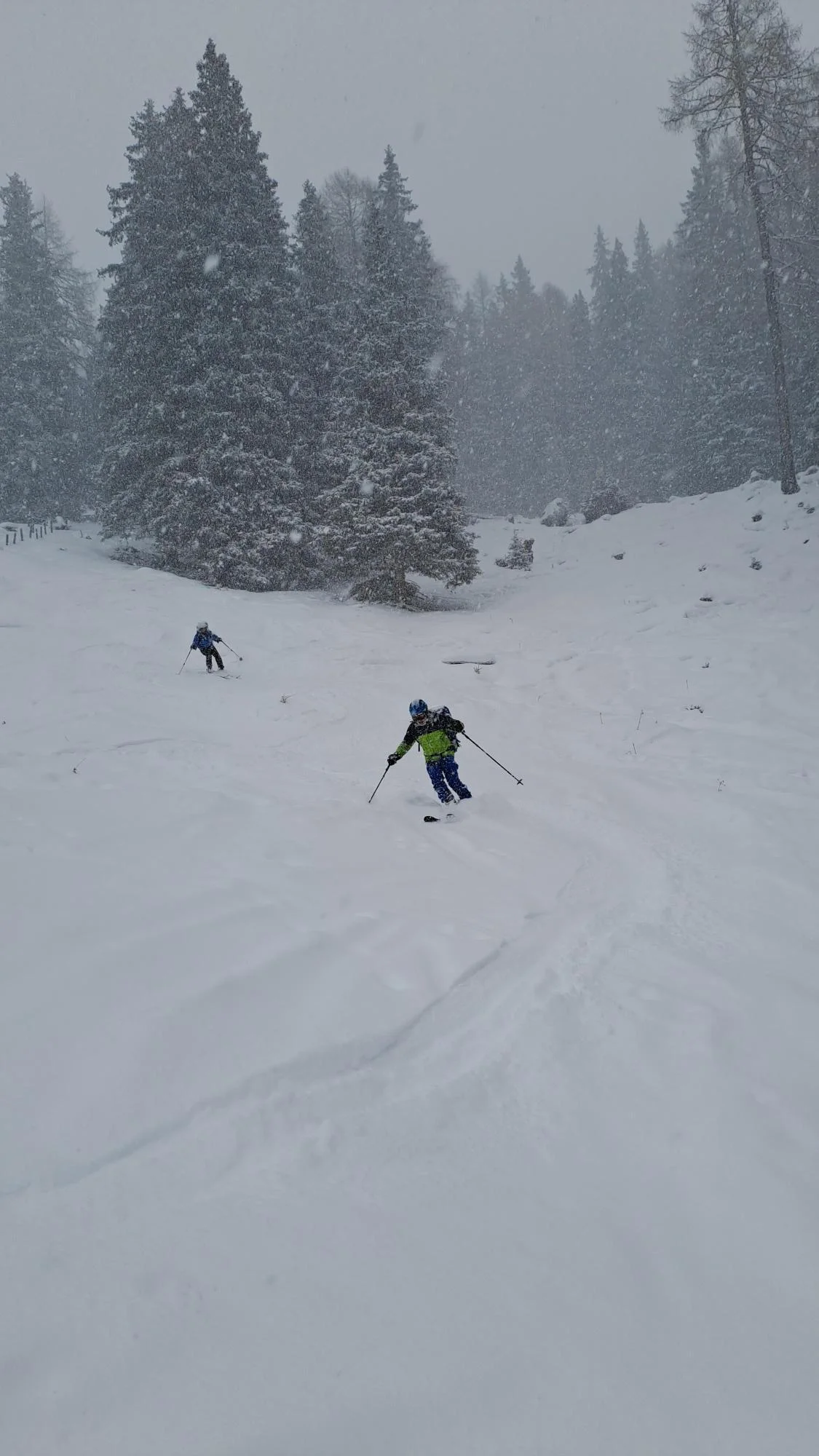 © Christa Hornreich