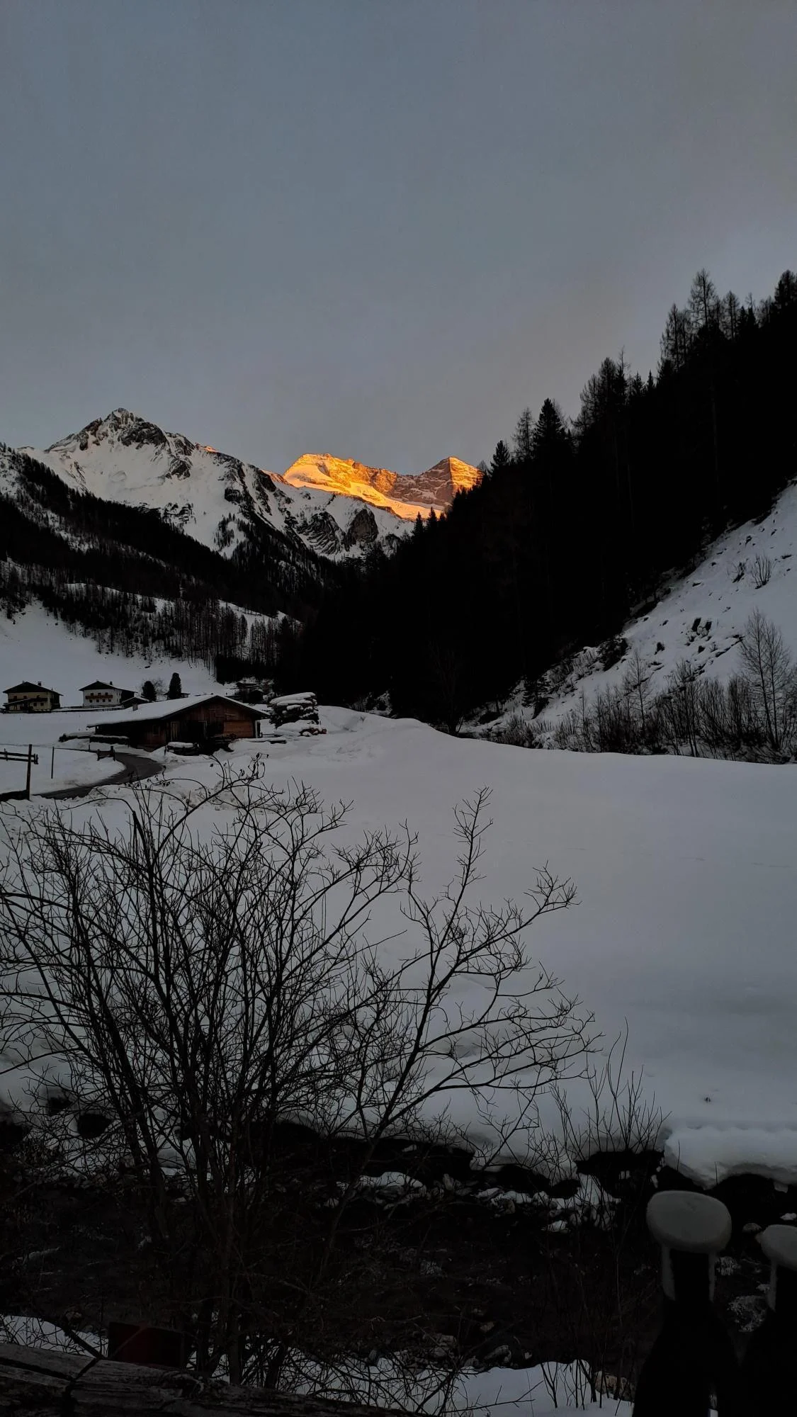 © Christa Hornreich