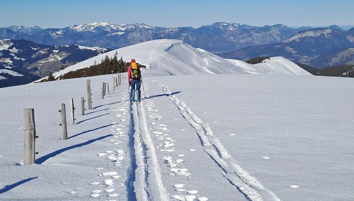 © Christa Hornreich