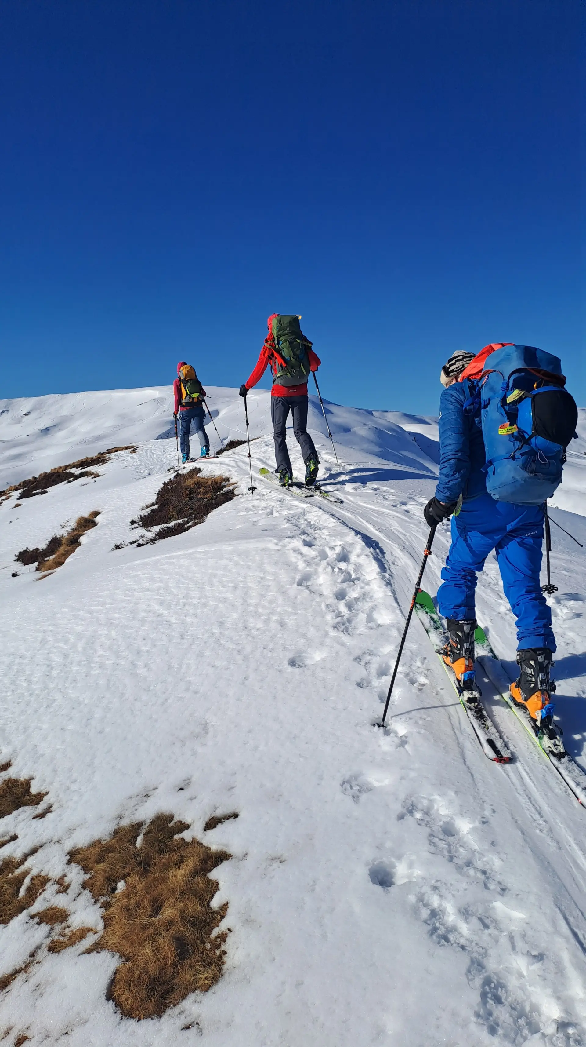 © Christa Hornreich