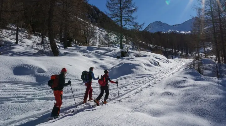 © Christian Hornreich