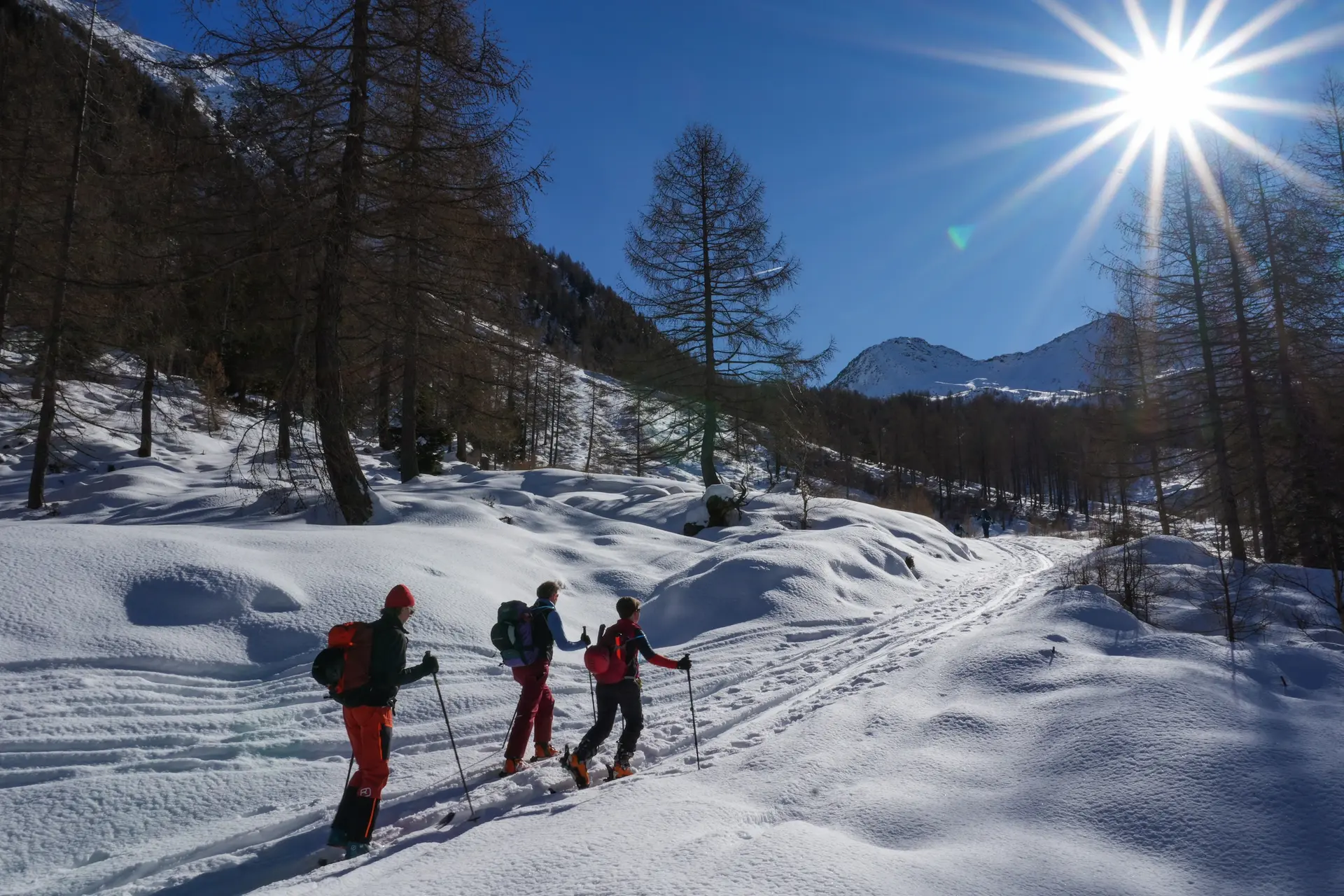 © Christian Hornreich