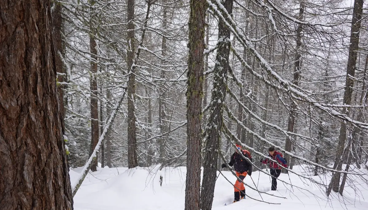 © Christian Hornreich