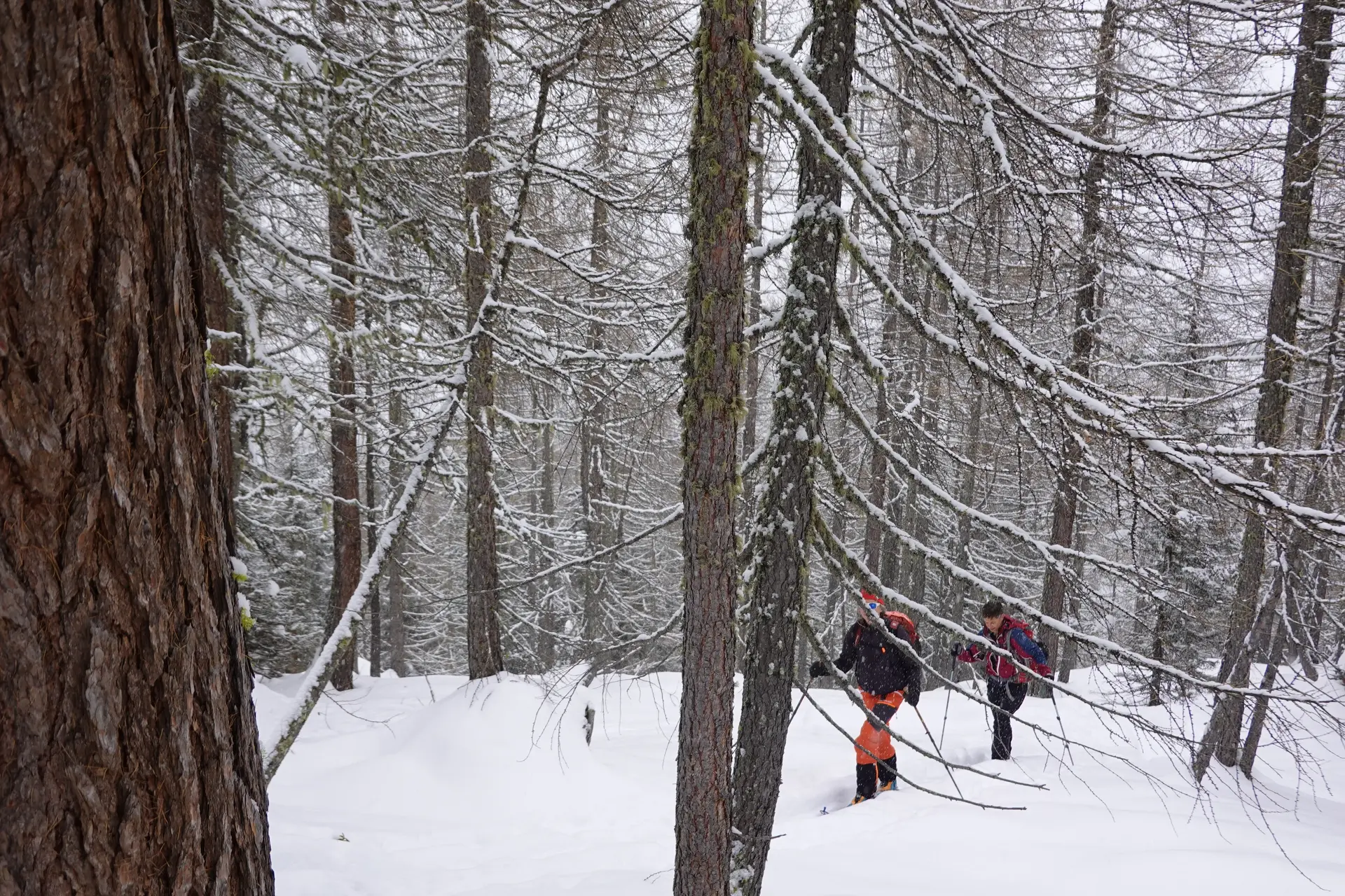 © Christian Hornreich