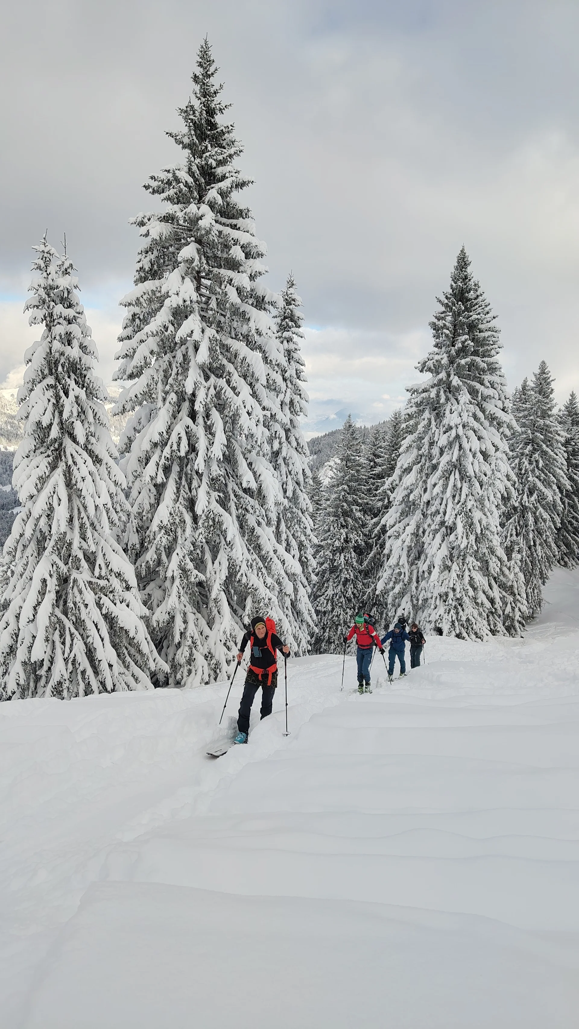 © Christian Hornreich