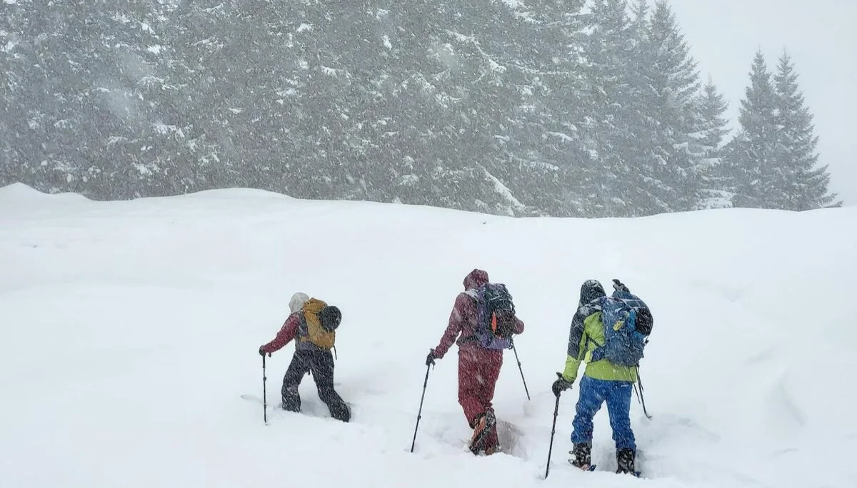 © Christa Hornreich