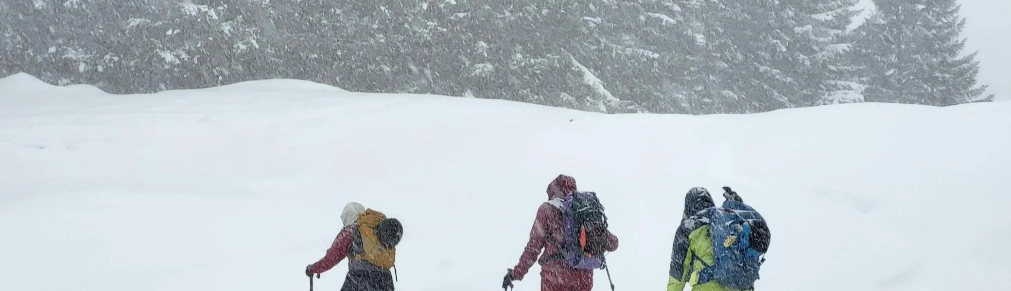 © Christa Hornreich