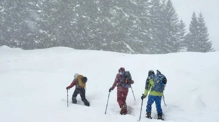 © Christa Hornreich