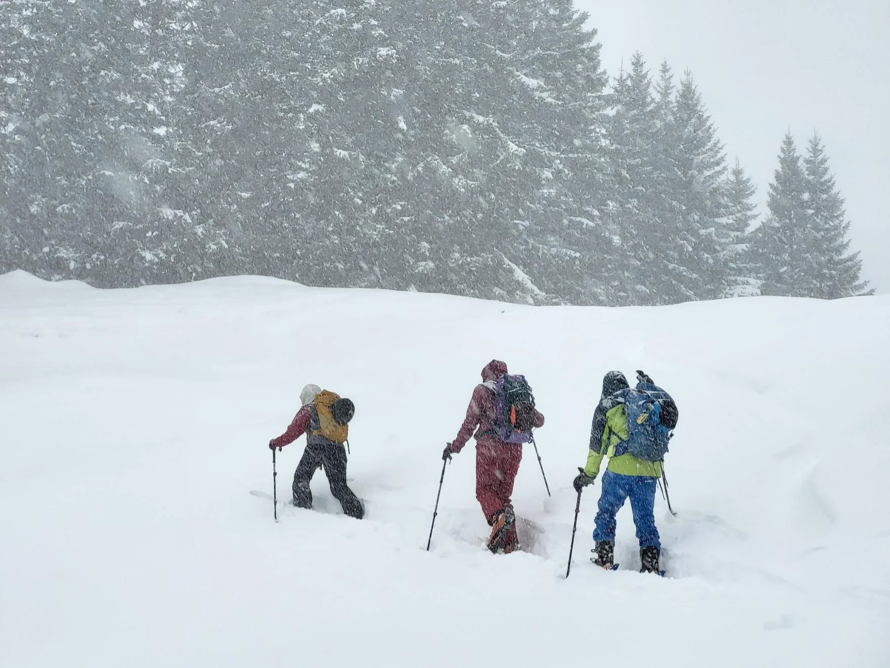 © Christa Hornreich