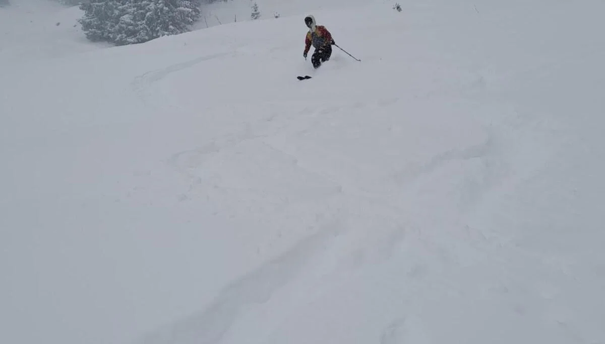 © Christa Hornreich