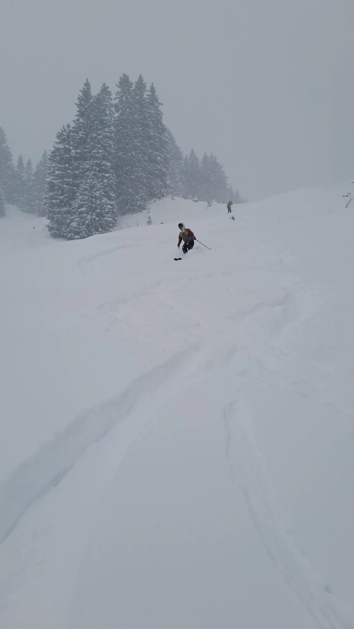 © Christa Hornreich