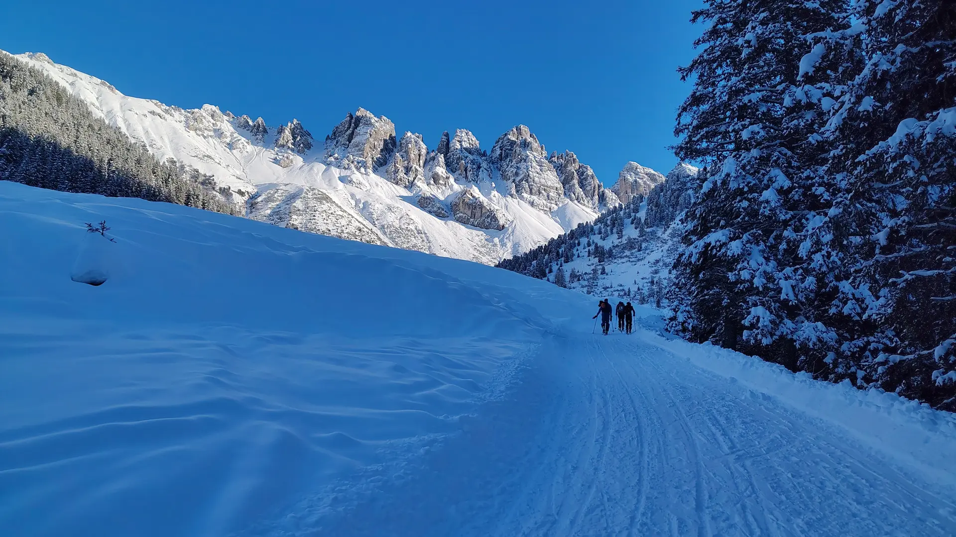 © Christian Hornreich