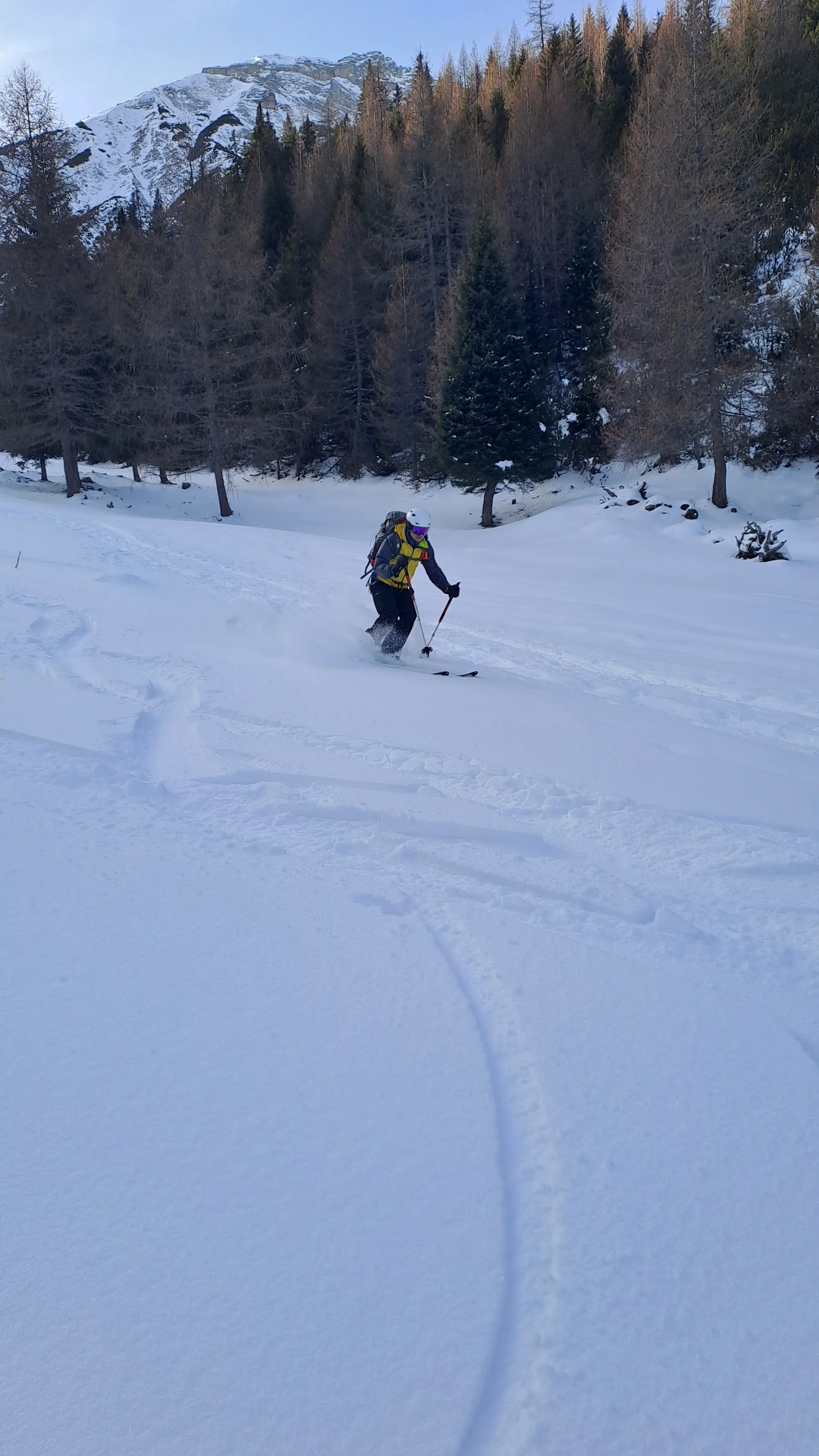 © Christa Hornreich