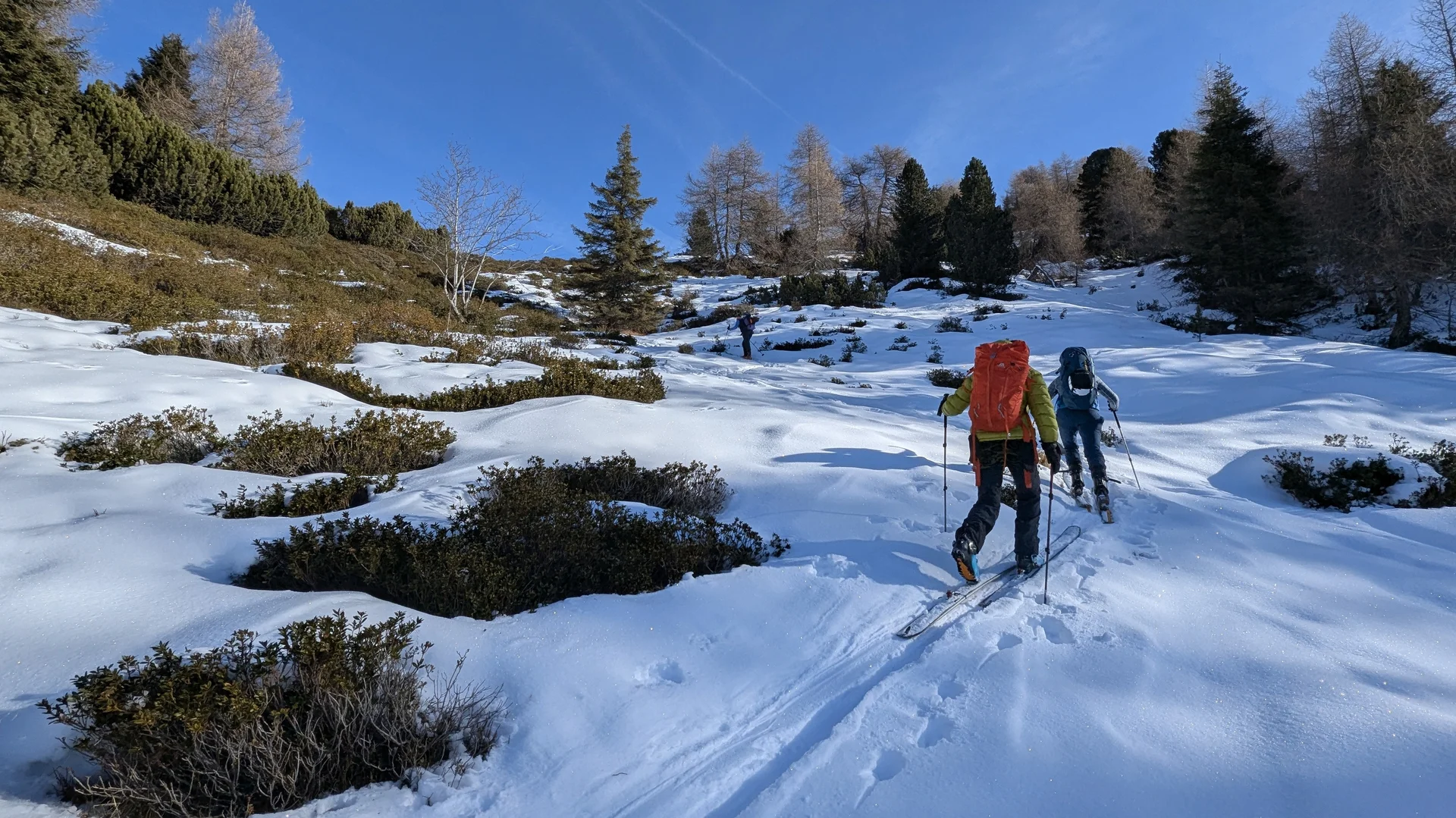 © Christa Hornreich