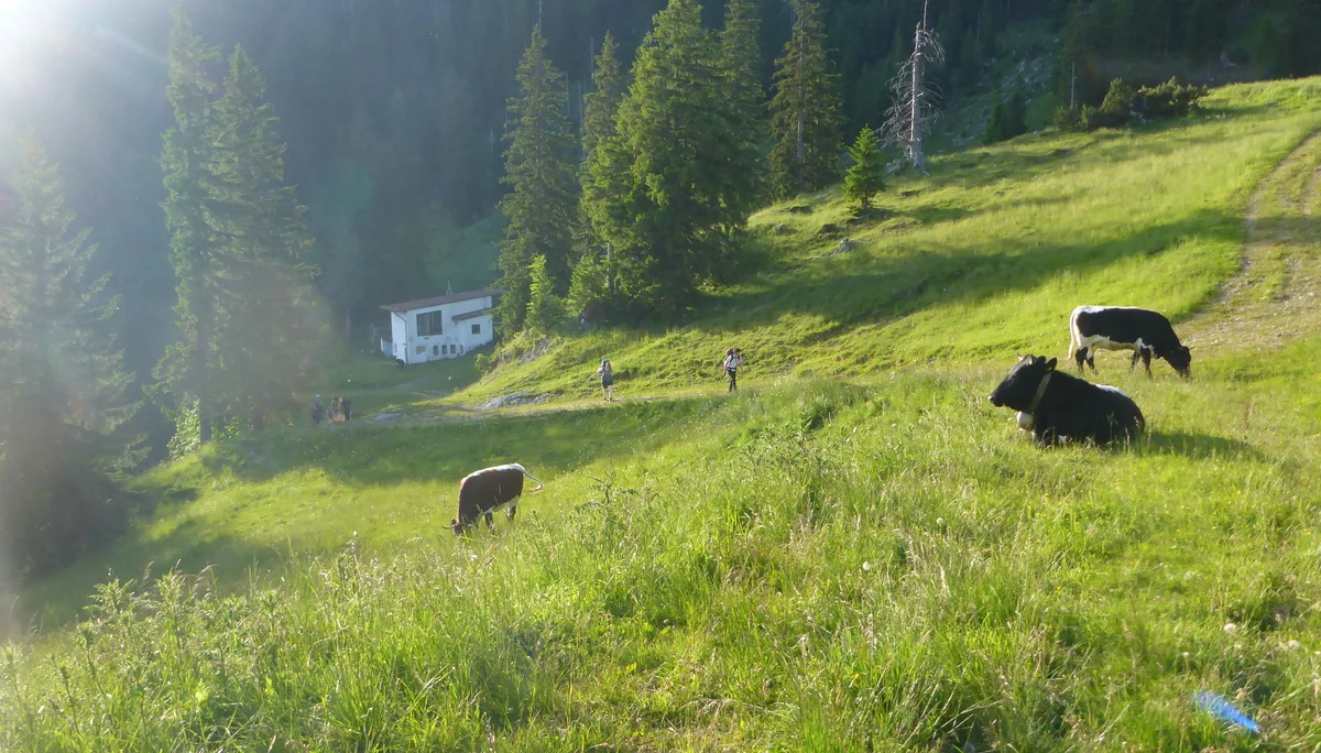 © Christine Riehl © Christine Riehl