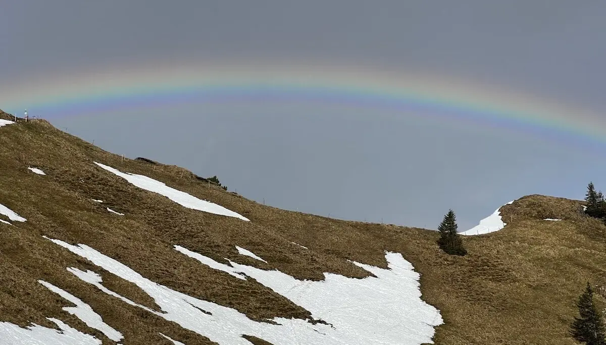 © Christa Hornreich