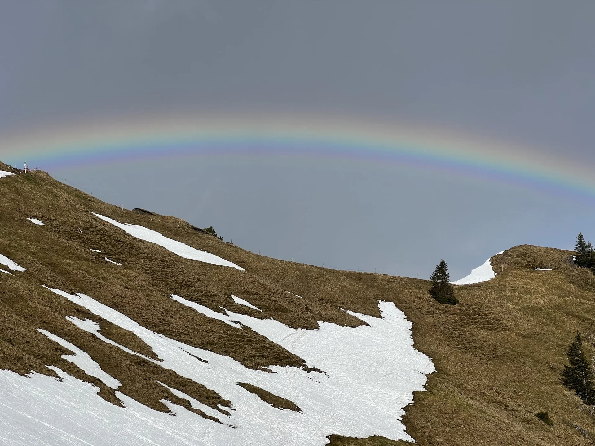 © Christa Hornreich