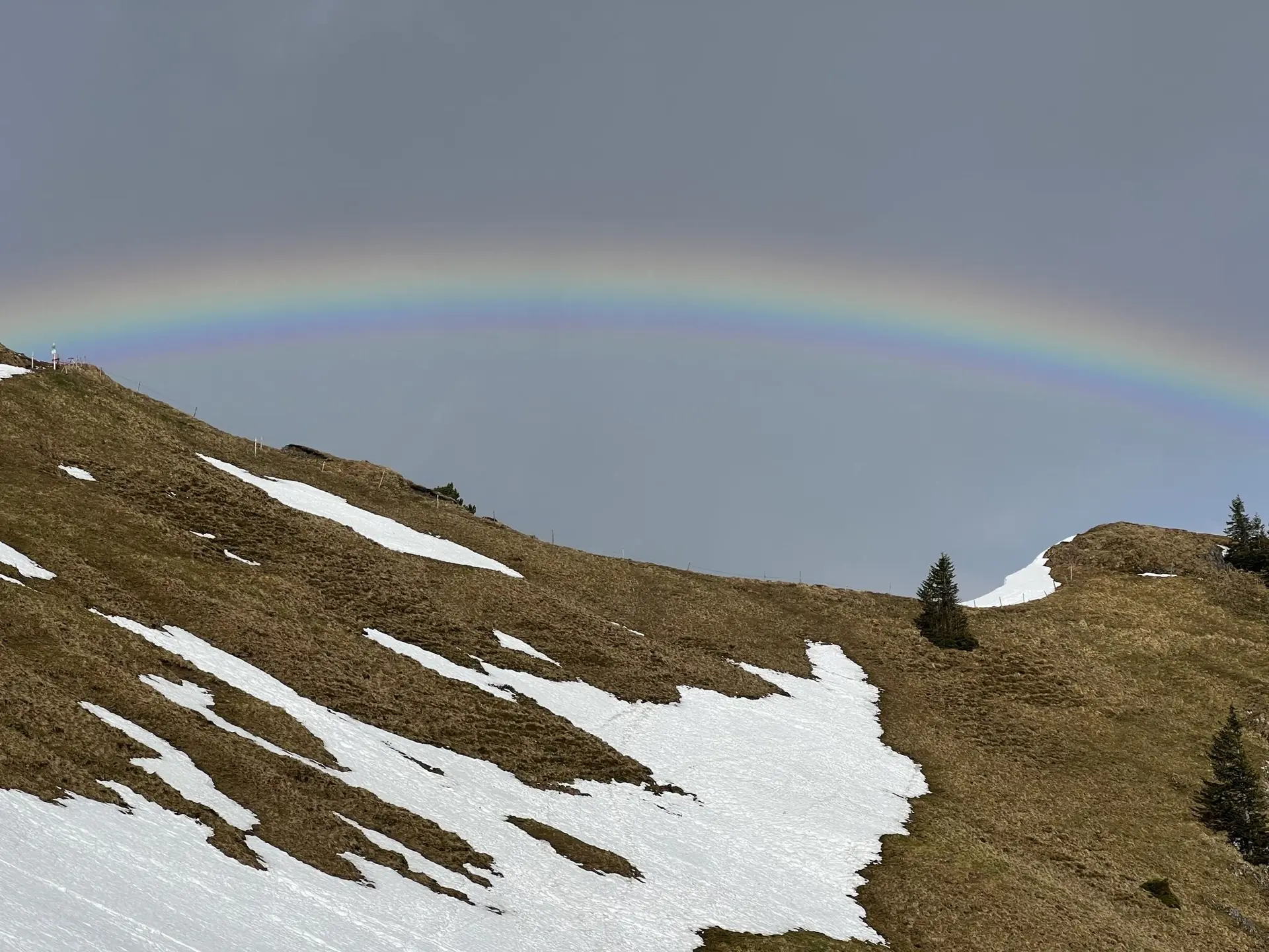 © Christa Hornreich