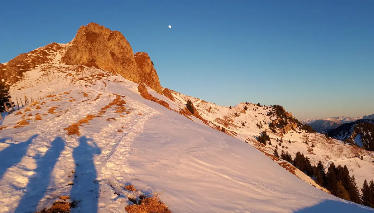 © Christa Hornreich