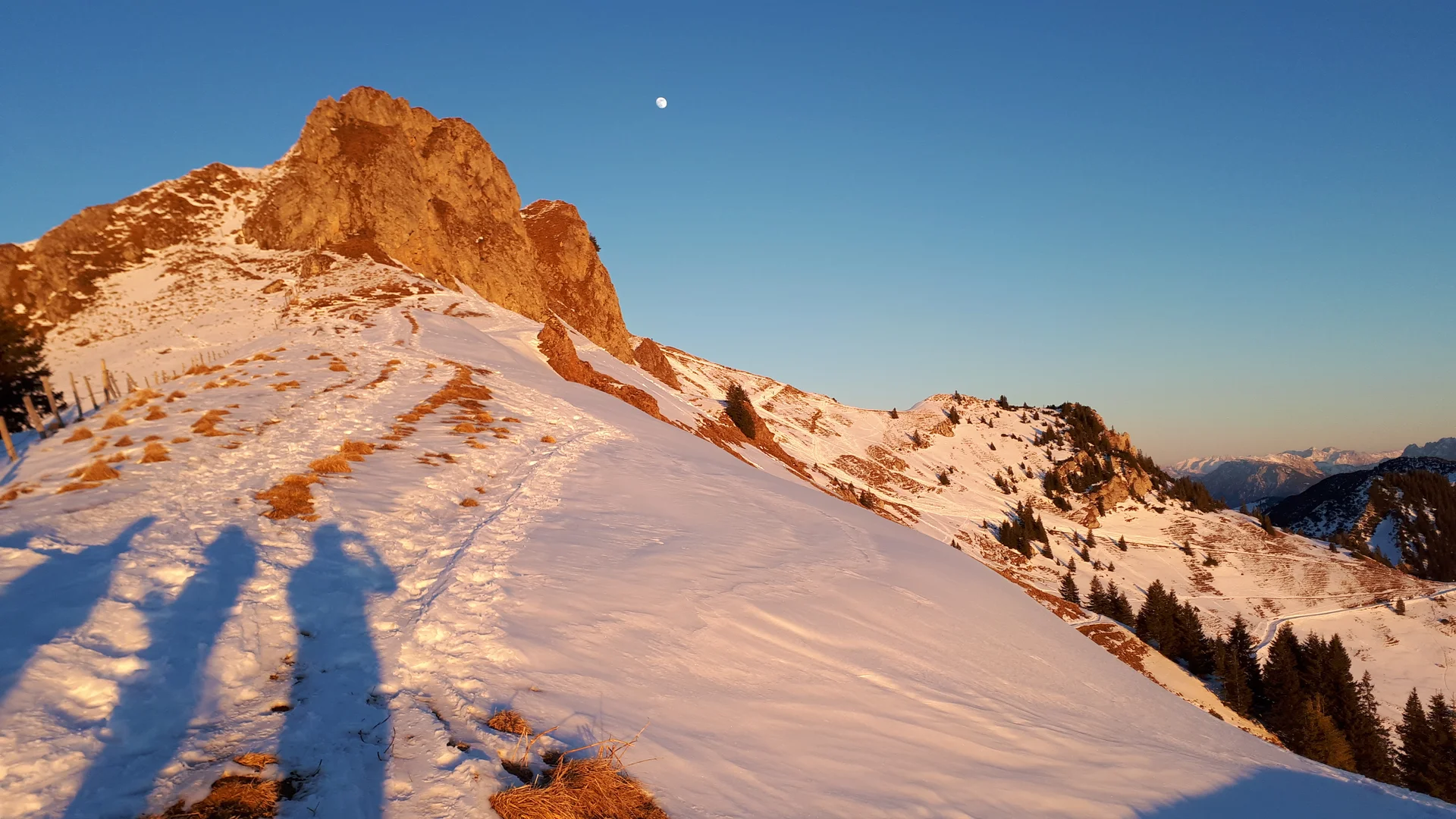 © Christa Hornreich