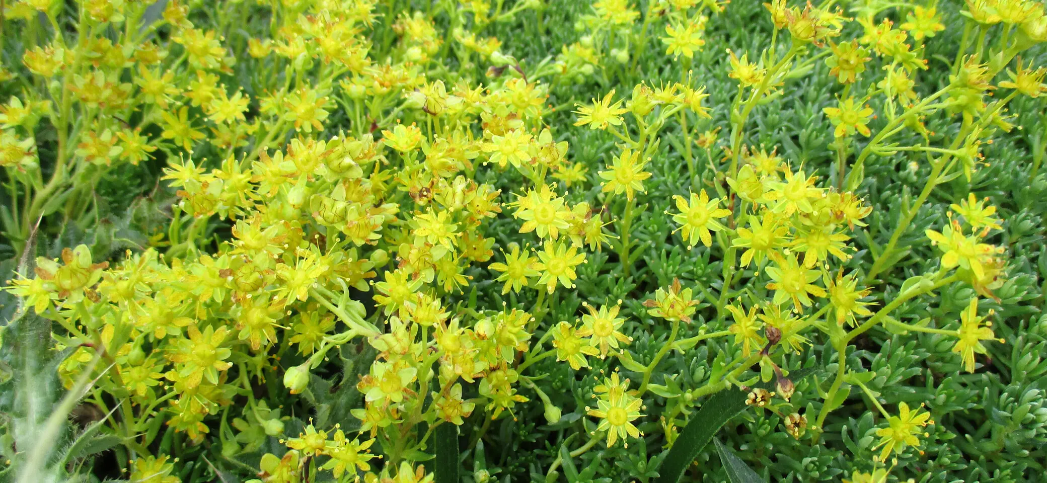 © Bernhard Eibl, TAK